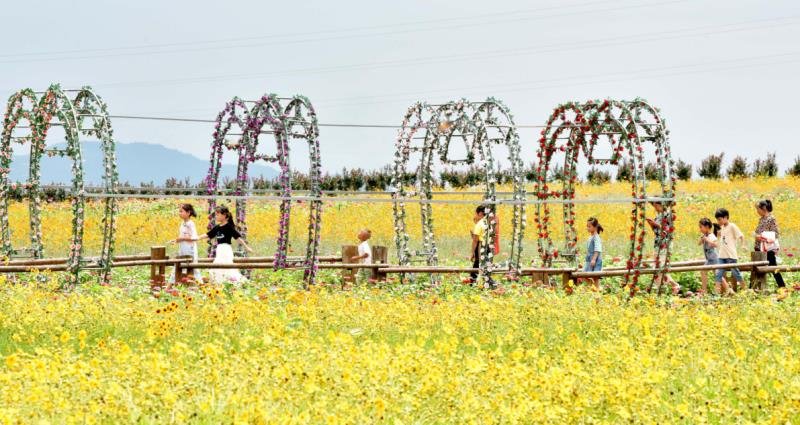 江西旅游打卡地方有哪些是網紅打卡地？